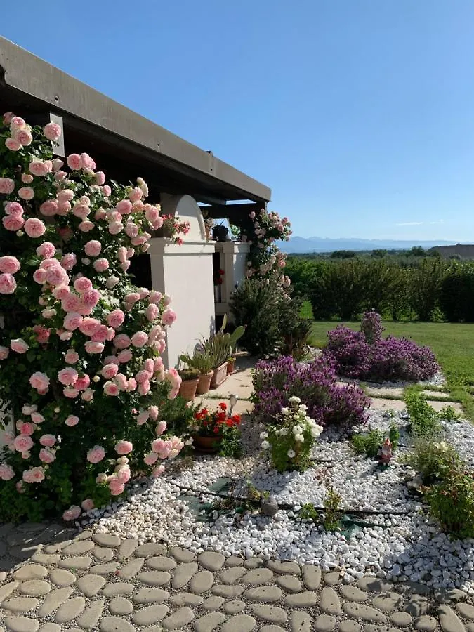 Farm stay Villa San Pietro Desenzano del Garda