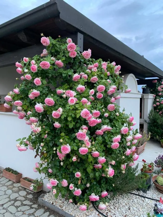 Villa San Pietro Desenzano del Garda Farm stay