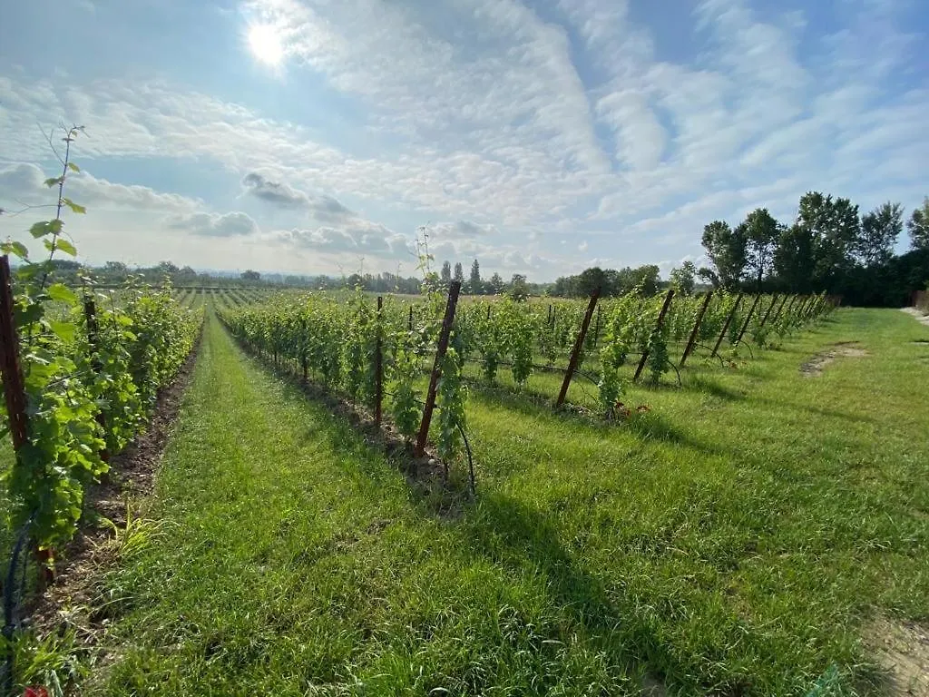 Farm stay Villa San Pietro Desenzano del Garda